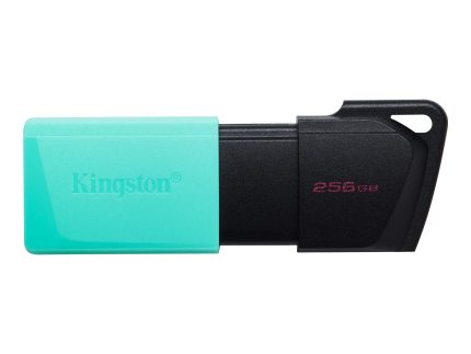 USB memorija KINGSTON DTXM/256GB/DataTraveler Exodia/3.2/crna