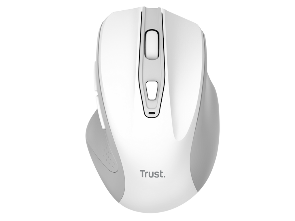 25550-251003081004569