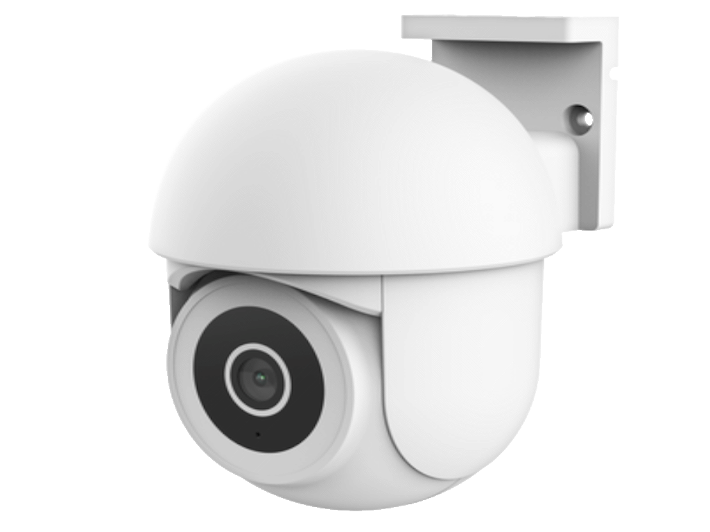 71363-250306080305679