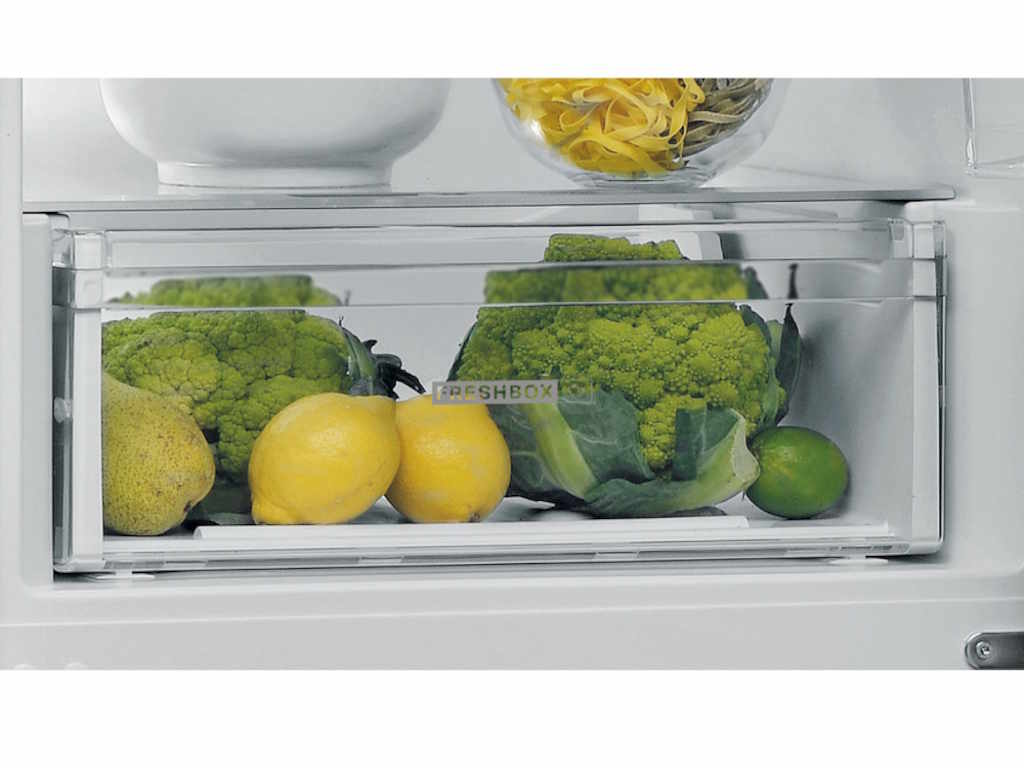 W5-821EF-OX-1-250702090728940