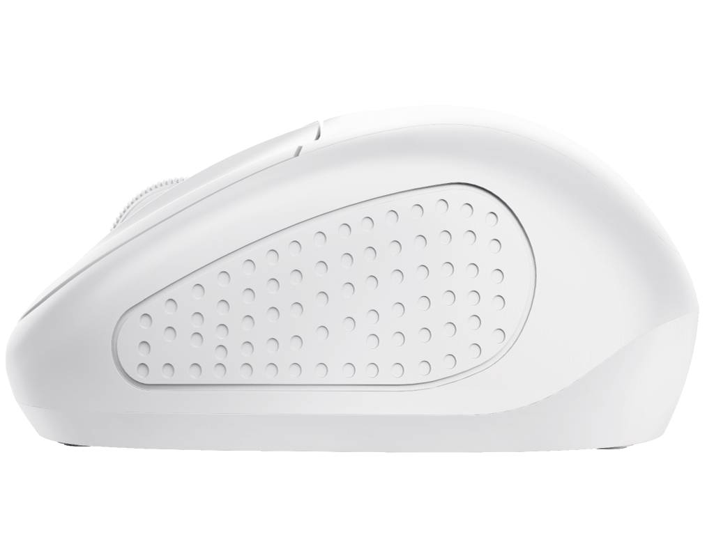 24795-230203030243523